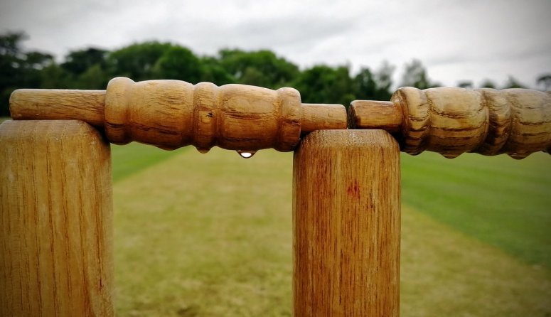 wet bails by David Lewis